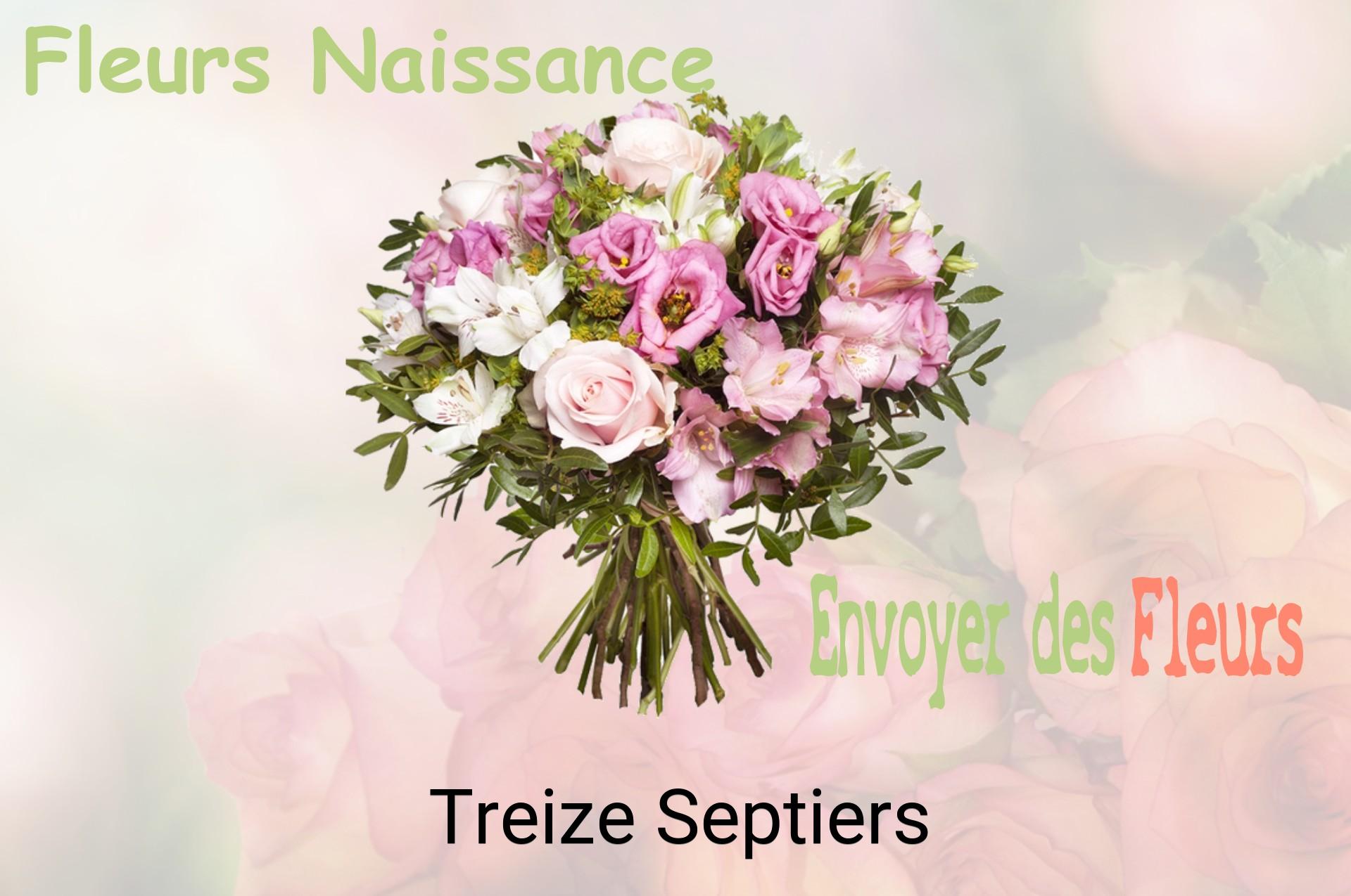 Bouquet de fleurs de naissance livré à Treize-Septiers