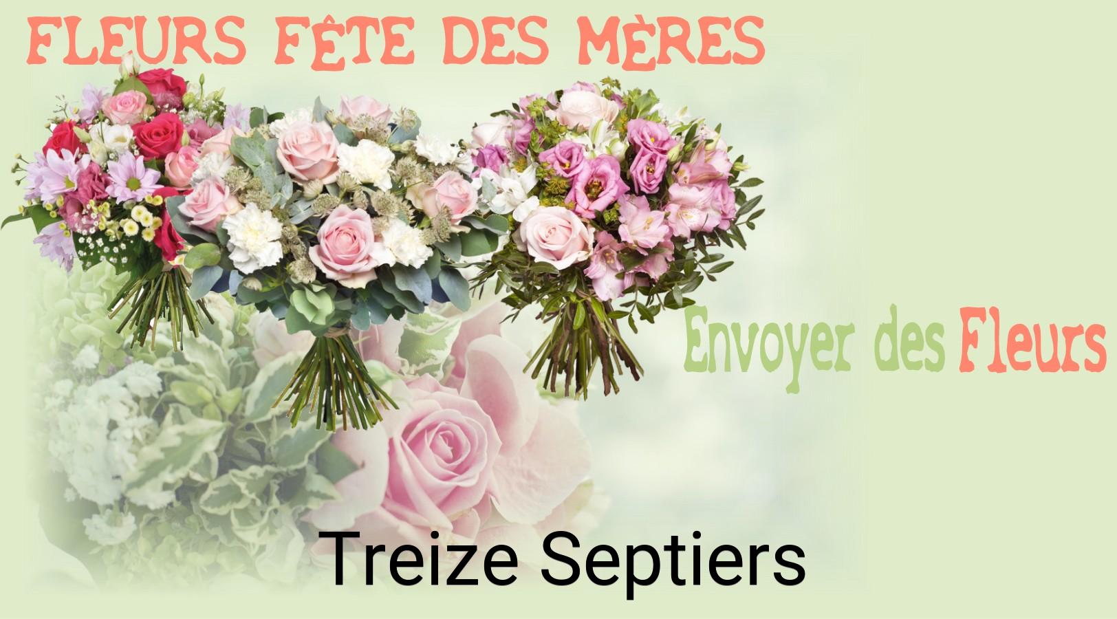 Bouquet de Fête des Mères livré à Treize-Septiers